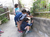 img0000.jpg