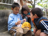 img0002.jpg
