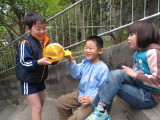 img0003.jpg