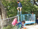 img0011.jpg