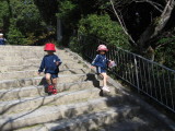 img0031.jpg