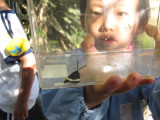 img0033.jpg
