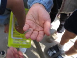 img0034.jpg