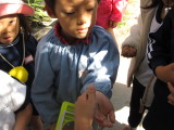 img0035.jpg