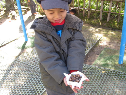 img0003.jpg