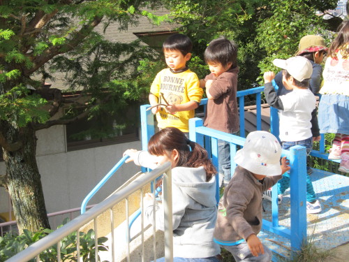 img0030.jpg