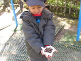 img0003.jpg