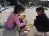 img0006.jpg