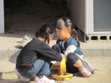 img0007.jpg
