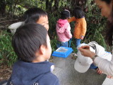 img0010.jpg