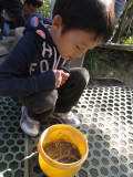 img0015.jpg