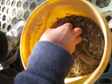 img0016.jpg