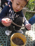 img0017.jpg