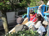 img0029.jpg