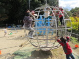 img0031.jpg