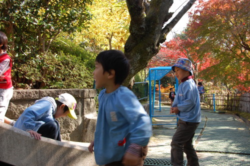 img0004.jpg