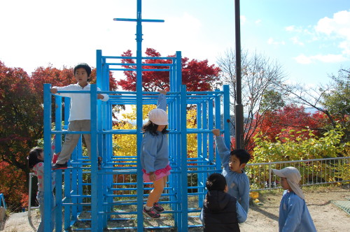 img0019.jpg
