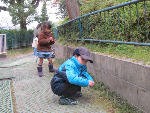 img0031.jpg