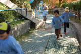 img0003.jpg
