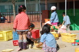 img0016.jpg