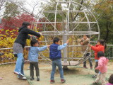 img0035.jpg