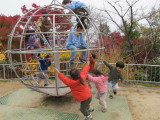 img0042.jpg