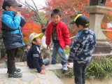 img0055.jpg