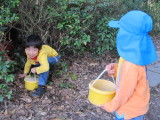 img0037.jpg