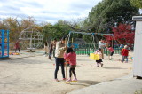 img0010.jpg