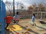 img0017.jpg