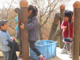 img0023.jpg