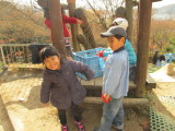 img0025.jpg