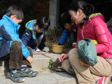 img0027.jpg