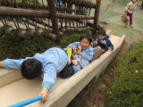 img0041.jpg