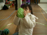 img0016.jpg
