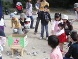 img0017.jpg