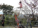 img0027.jpg