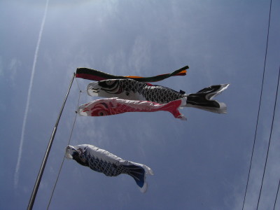 img0015.jpg