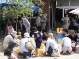 img0004.jpg