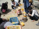 img0005.jpg