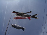 img0015.jpg