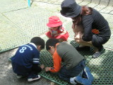 img0022.jpg