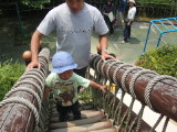 img0033.jpg