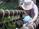img0034.jpg