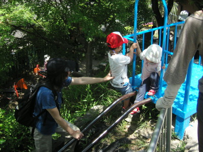 img0031.jpg