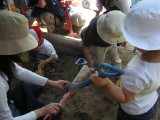 img0023.jpg