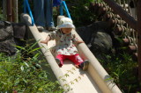 img0029.jpg