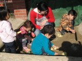 img0009.jpg
