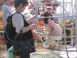 img0011.jpg