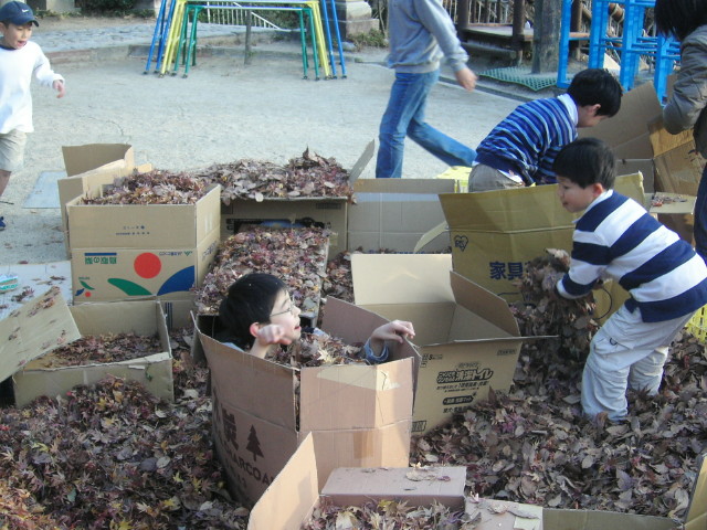 img0005.jpg